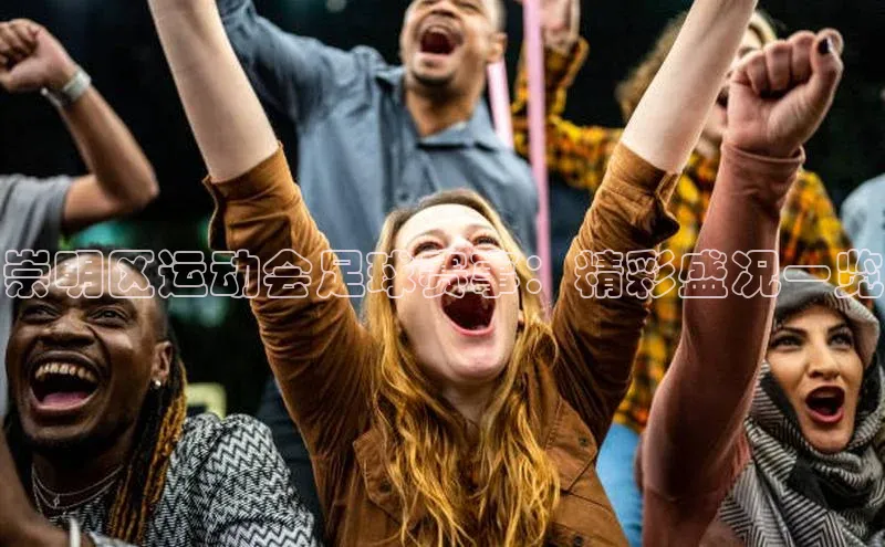 米乐yy易游体育官网顺丰崇明区运动会足球赛事：精彩盛况一览