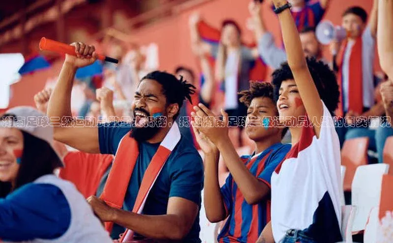 YY易游app百度人工翻译湖南足球二级运动员数量大揭秘，揭秘湖南足球二级运动员人数的真实情况