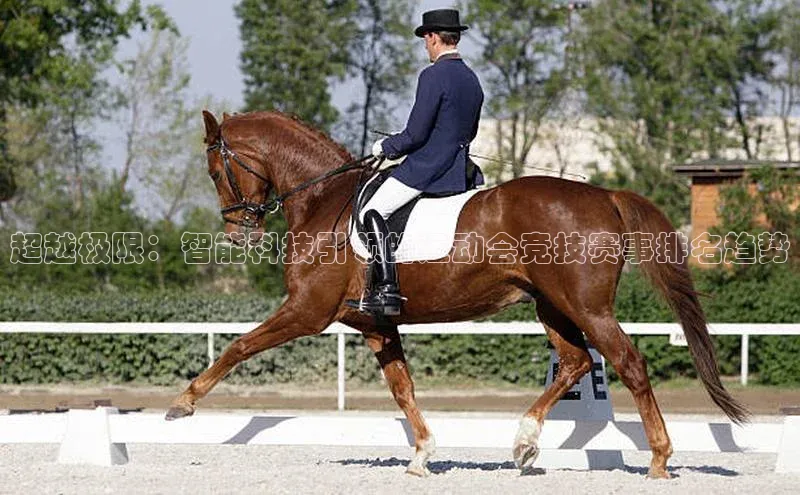 超越极限：智能科技引领的运动会竞技赛事排名趋势