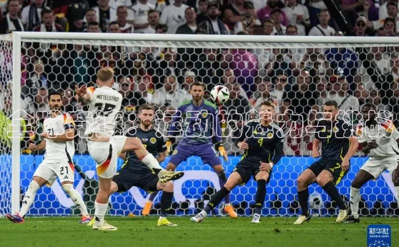 全球竞速：运动的魅力与挑战