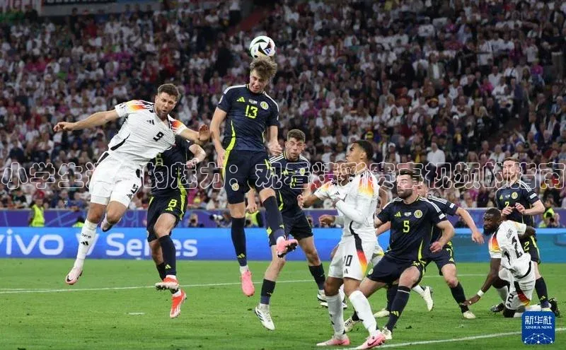 小学生运动的魅力：观看精彩赛事视频的指南