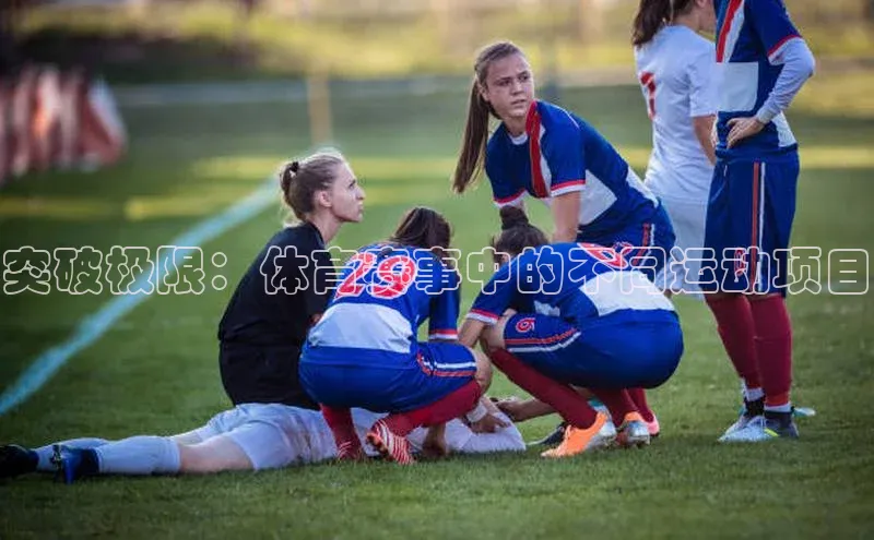 突破极限：体育赛事中的不同运动项目