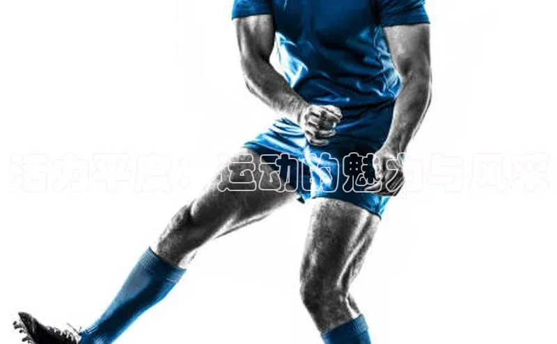 活力平度：运动的魅力与风采