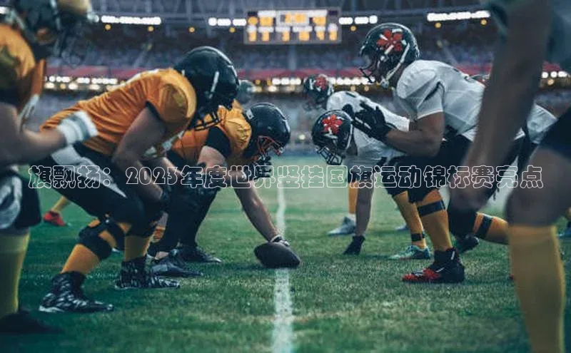 旗飘扬：2023年度世界竖挂国旗运动锦标赛亮点