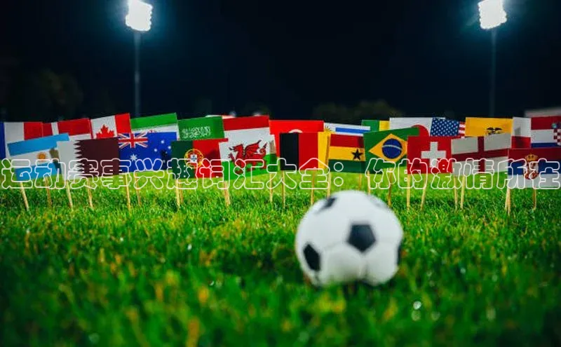 运动赛事兴趣词汇大全：你的激情所在