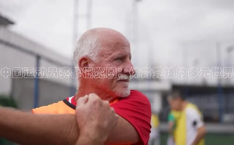 中国运动员赛事概览图：体育竞技的多元世界
