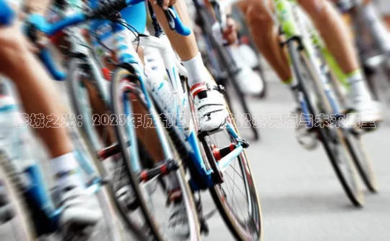 蓉城之光：2023年成都国际马拉松赛亮点与未来展望