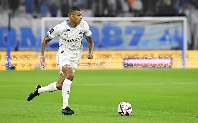 赛事大观：大型运动会的文化与精神内涵