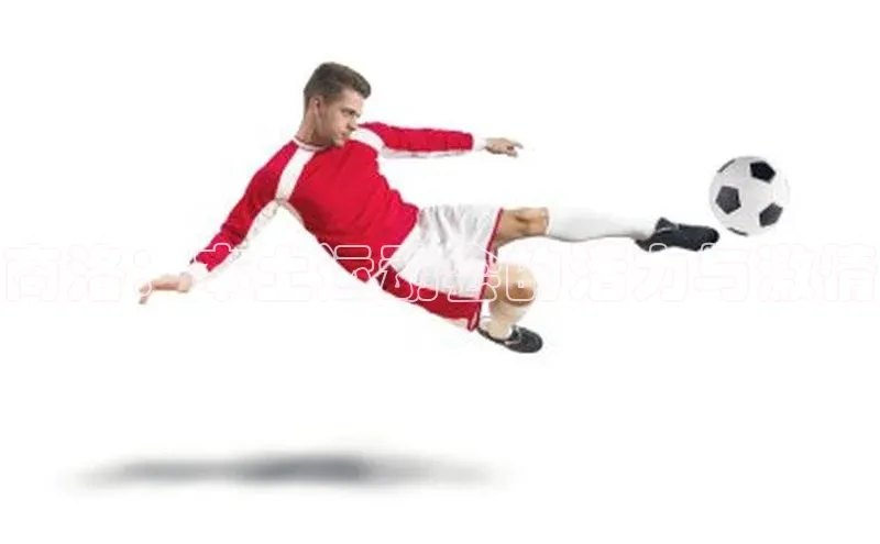 米乐yy易游体育