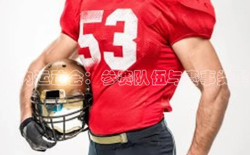 国内运动会：参赛队伍与赛事类型