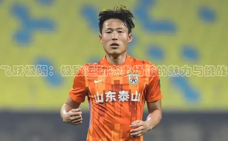 飞跃极限：极致运动赛事场馆的魅力与挑战