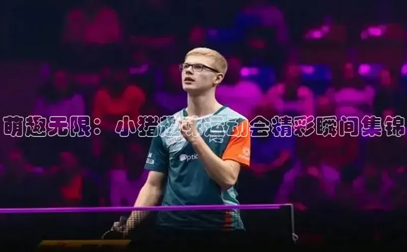 萌趣无限：小猪趣味运动会精彩瞬间集锦