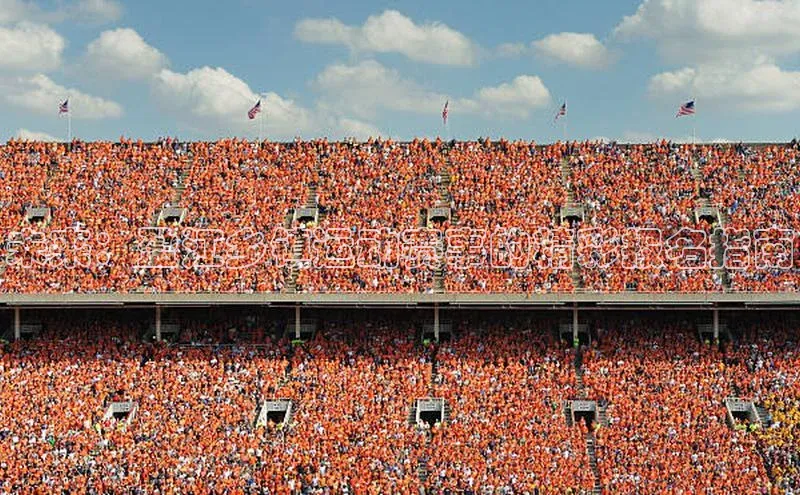 未来：盈江乡镇运动赛事的精彩报名指南